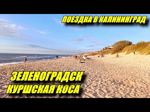 Зеленоградск глазами туриста. Куршская Коса