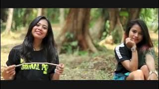 Animal Pop Family - Medo Arife (Cipt : Drs. JPD. Hunila)