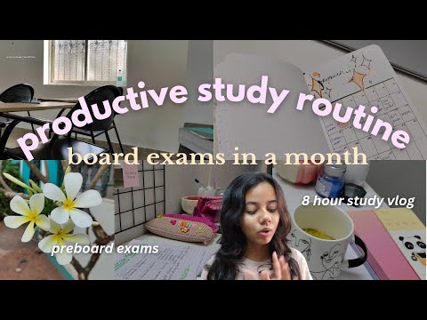 MY BOARD EXAM STUDY ROUTINE| CBSE 12th GRADE VLOG