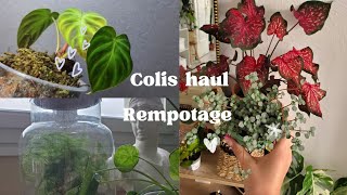 haul, colis, rempotage, blabla