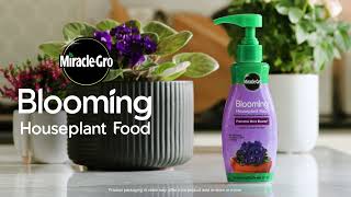 How To Use Miracle-Gro® Blooming Houseplant Food by Miracle-Gro 321 views 3 months ago 39 seconds