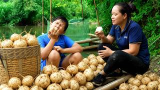 Farm Girl Life Harvesting Fresh Jicama Roots - Daily Animal Care Work Alone