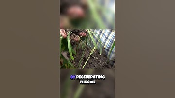 Regenerative Farming  The Secret to a Greener Future 🌱