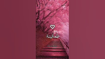 أجمل تلاوة تشعرك بالأمان #طمأنينة #راحة_نفسية #tranquility #dailyreminder #dailymotivation