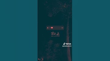 لا اله إلا الله وحده لا شريك له ما أجمل قرآن كريم ربيع قلوبنا ونور صدورنا 💖💖💖(1)