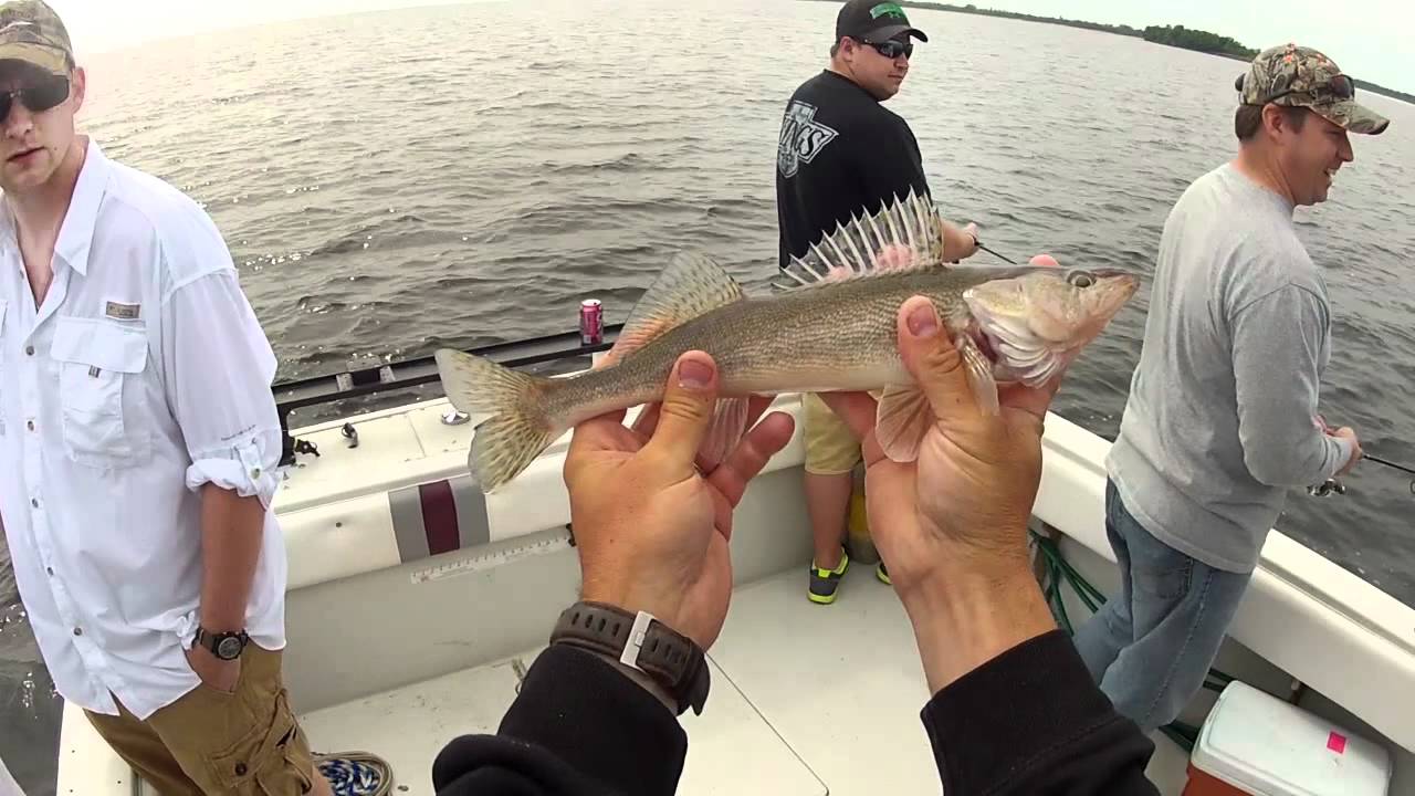 Minnesota Walleye Fishing - Lake of the Woods Fishing Report Video 6-16