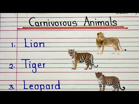 Carnivorous animals name | 20 Carnivorous animals name write and learn animals name