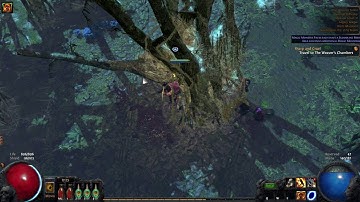 Path of Exile WTF TREES?!