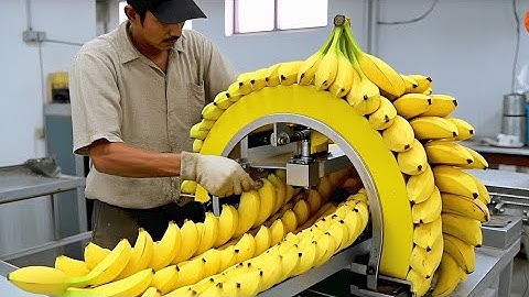 Modern food-processing Machines Operating at an INSANE LEVEL