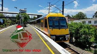 Transport for NSW Vlog No.1073 Pymble part 2