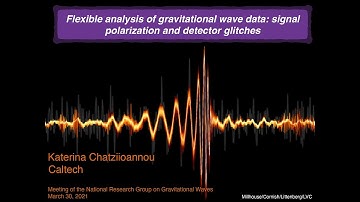 Flexible analysis of gravitational wave data: signal polarization and detector glitches