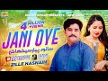 Jani oye Sanu Pyar slowed and reverb #janioyetiktok #trendingsong #janioye2024