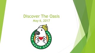 Discover The Oasis 2017