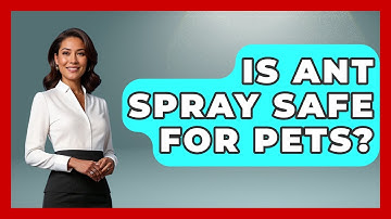 Is Ant Spray Safe For Pets? - Insects and Invaders