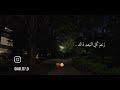 هل لـنـا من لـقاء إنشودة بصوت مشاري العفاسي  mp3