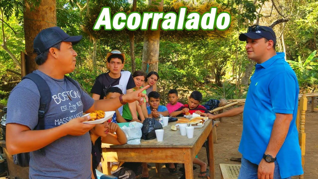 mexicano restaurant DIOS ME LIBRE SIMBA ES ACORRALADO POR EL SUSCRIPTOR - SUSCRIPTOR JOEL DESDE LA USA P-3