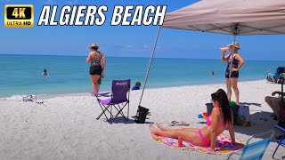 Algiers Beach 2022  Sanibel Florida