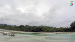 Enjoy Wakatobi "Pulau Sumanga" (Camelia Wakatobi)