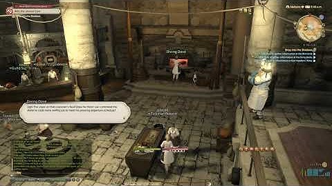 FFXIV - Stray into the Shadows