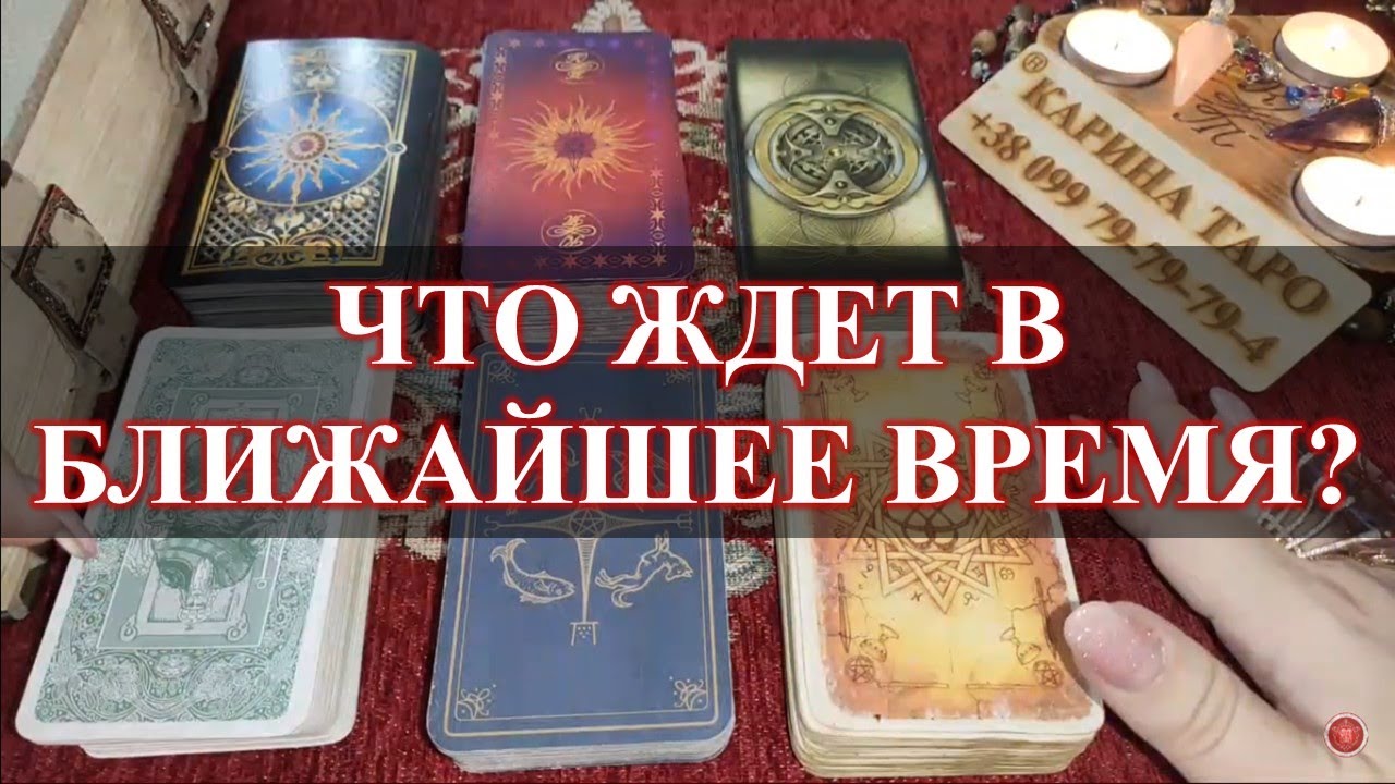 Карина таро com