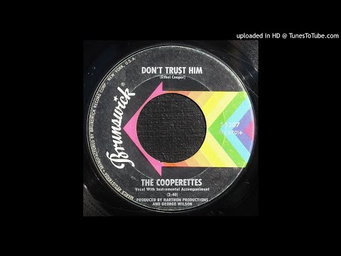 The Cooperettes - Don't Trust Him - 1966 Girl Group Soul