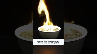 The Black Snake Experiment