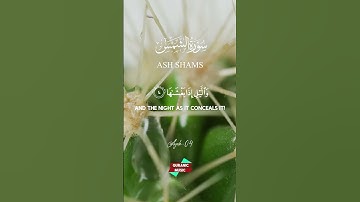 Surat Ash-Shams (The Sun)| Mishary Rashid Abu Yusof مشاري بن راشد العفاسي | سورة الشمس Quranic Music
