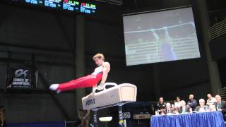 Jacob Dastrop - Pommel Horse - 2012 Winter Cup Finals