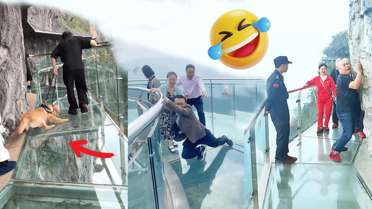 Scariest Cliff-side Glass Walkway | People dare to walk | Amazing chinese landscape