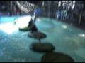 Waterloo Road Trip to Great Wolf Lodge