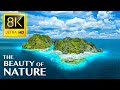 THE BEAUTY OF NATURE 8K ULTRA HD - Tour Around The World with Natural Places and Real Sounds