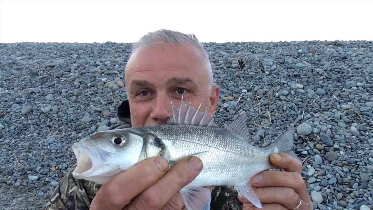 Bass fishing in Wales and a look at the rig and bait approach YouTube