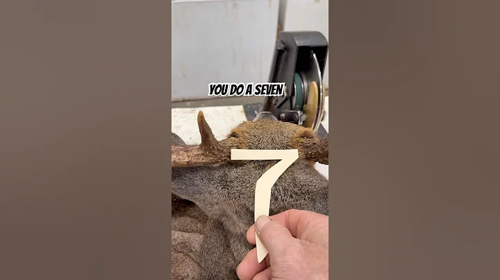 3 Ways to Cape A Deer Head #taxidermy #deerhunter #skinning