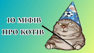 10 Міфів Про КОТІВ - Як Ми Могли В Це Вірити!?