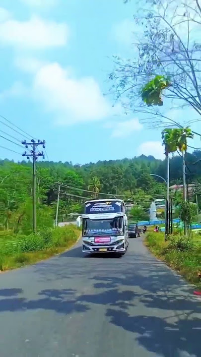 Basuri koplo Tj kids panda #basuri #basuriv3 #basuriviral #basurihorn #basurimengular #basurikoplo