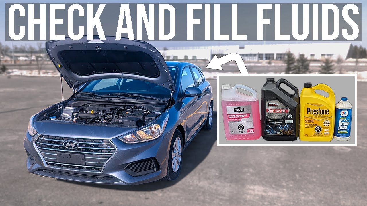 How to Check and Fill Fluids [COMPLETE GUIDE] - Hyundai Accent (2018 ...