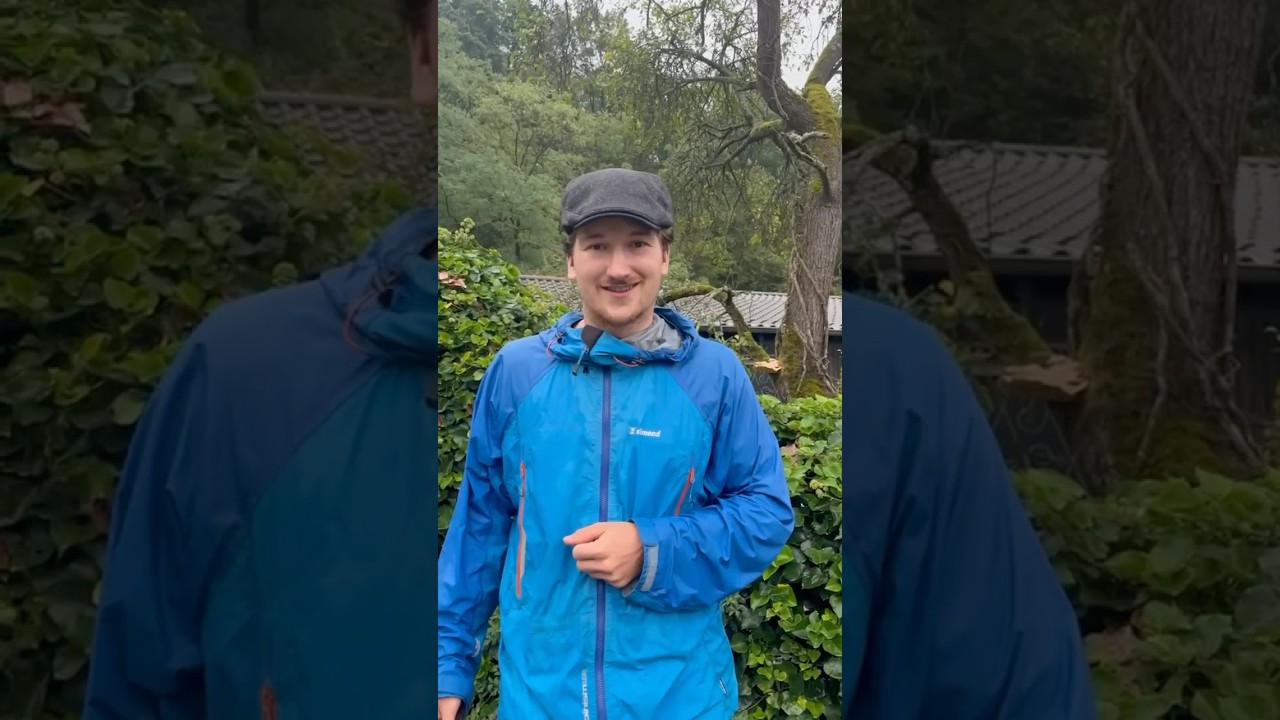 Pilzesammeln verboten?! 🍄🔍