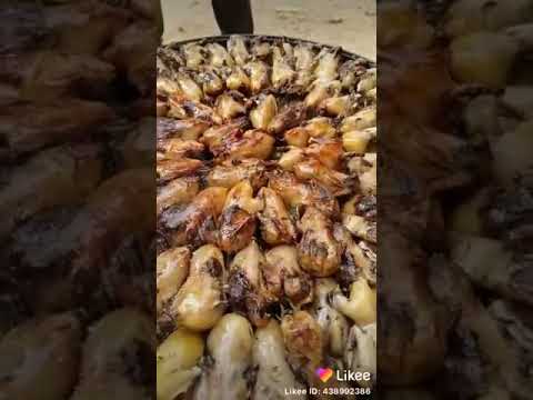 اه والف اهات عليك يا زعليلو هو ده ولاا بلاش الحمام وبس يا ناس