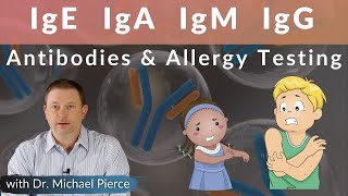 Antibodies and Allergy Testing Explained