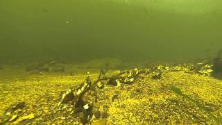 Drifting down the delaware p4