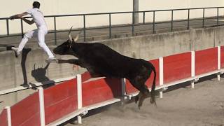 Milhaud TROPHEE NIVEAU AVENIR Le 25 04 2026