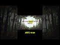 You Can’t Escape This Forest… Yeh Tumhara Mind Control Karta Hai | Horror Explained 😱