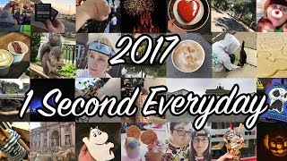 1SE - 1 Second Every Day Project - 2017
