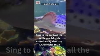 1 Chronicles 16:23 | Sing to the Lord, all the earth; proclaim his salvation day after day.
