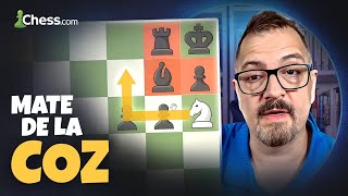 I Give A Tremendous Mate De La Coz