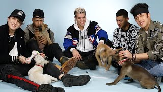 CNCO brinca com cachorrinhos e responde perguntas dos fãs - BuzzFeed Brasil