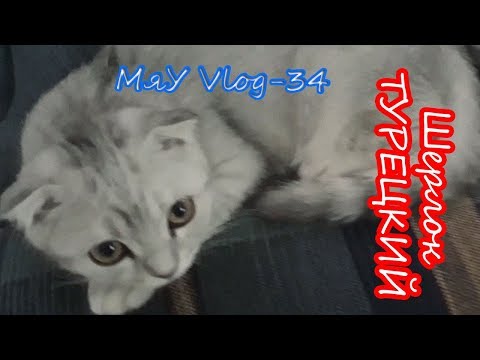 Видео: Шерлок Турецкий  VLOG 34