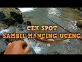 Survey spot sambil mancing uceng di sungai jernih banget, buat mabar besok bareng pasukan bocil
