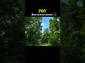 POV : Road trip turned adventure 🌴 #shorts #ytshorts #traveler #trendingshorts #roadtrip