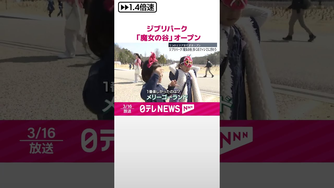 Amazon.co.jp: ジブリパーク 魔女の谷 ヒン ぬいぐるみ ジブリ